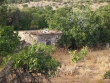 http://www.sapphoestate.com/images/listing_photos/65_p5182081.jpg