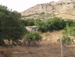 http://www.sapphoestate.com/images/listing_photos/65_p5182084.jpg