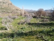 http://www.sapphoestate.com/images/listing_photos/65_pc018963.jpg