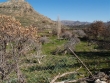http://www.sapphoestate.com/images/listing_photos/65_pc018975.jpg