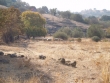 http://www.sapphoestate.com/images/listing_photos/75_pb074968.jpg