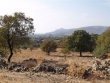 http://www.sapphoestate.com/images/listing_photos/75_pb074972.jpg
