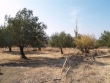 http://www.sapphoestate.com/images/listing_photos/79_pb075003.jpg