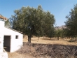 http://www.sapphoestate.com/images/listing_photos/79_pb075029.jpg