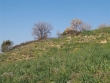 http://www.sapphoestate.com/images/listing_photos/80_pc179363.jpg