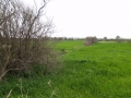 http://www.sapphoestate.com/images/listing_photos/8_kal0001_1.jpg Flatlands of Kalloni