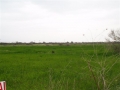 http://www.sapphoestate.com/images/listing_photos/8_kal0001_2.jpg 14.000 sq.m.