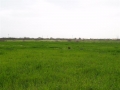 http://www.sapphoestate.com/images/listing_photos/8_kal0001_3.jpg Unlimited views
