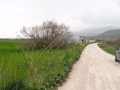 http://www.sapphoestate.com/images/listing_photos/8_kal0001_4.jpg Accessible by road