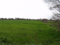 http://www.sapphoestate.com/images/listing_photos/8_kal0001_5.jpg Perfect for development