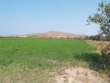 http://www.sapphoestate.com/images/listing_photos/90_p7032986.jpg