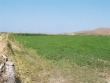 http://www.sapphoestate.com/images/listing_photos/90_p7032989.jpg