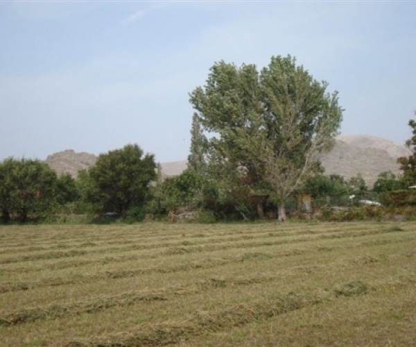 Skala Eressos, Lesvos Island 81105, 2 Bedrooms Bedrooms, ,House and Land,For Sale,1097