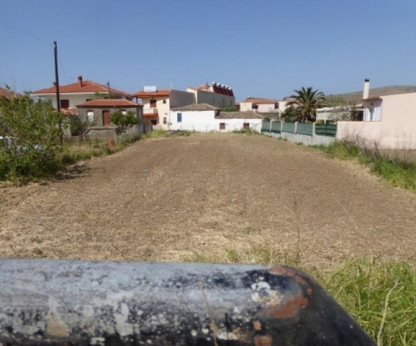 Skala Eressos, Lesvos Island 81105, ,Land Plot,For Sale,1099