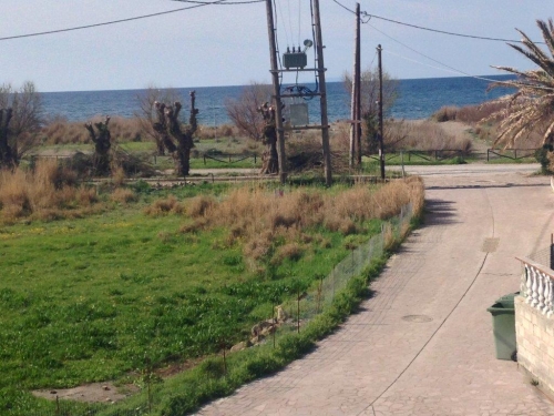 Skala Eressos, Lesvos Island 81105, ,Land Plot,For Sale,1100