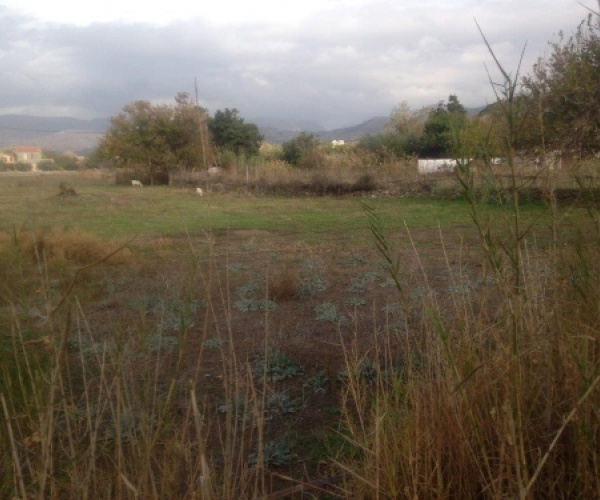 Skala Eressos, Lesvos Island 81105, ,Land Plot,For Sale,1100