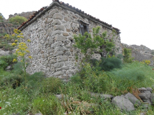 Skala Eressos, Lesvos Island 81105, ,House and Land,For Sale,1101