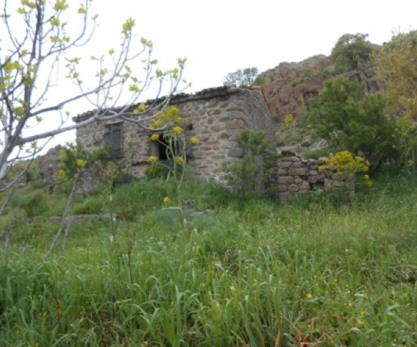 Skala Eressos, Lesvos Island 81105, ,House and Land,For Sale,1101