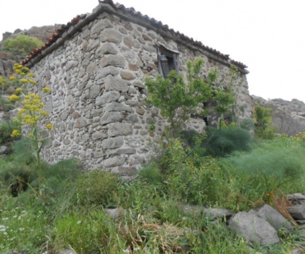 Skala Eressos, Lesvos Island 81105, ,House and Land,For Sale,1101