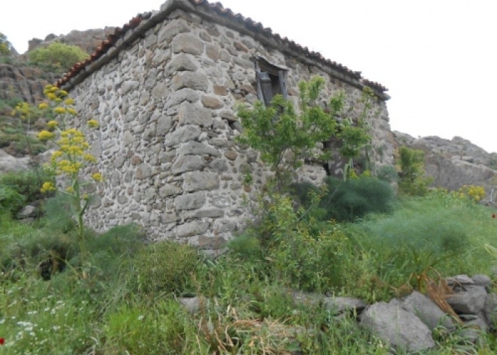 Skala Eressos, Lesvos Island 81105, ,House and Land,For Sale,1101