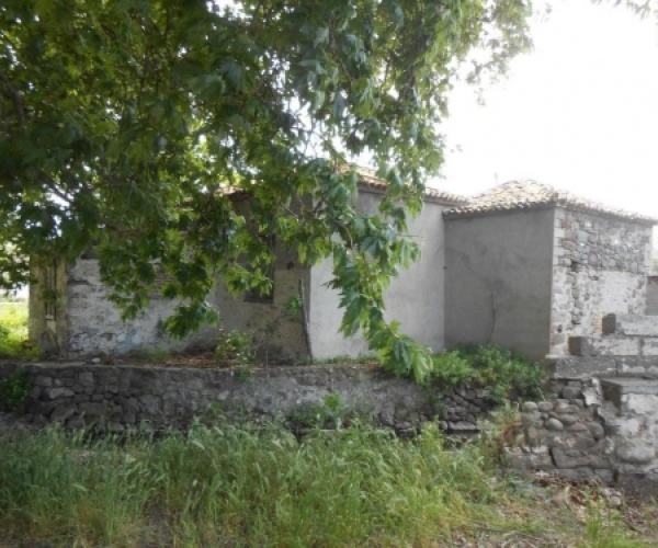 Kampos Eressos, Lesvos Island 81105, ,House and Land,For Sale,1103