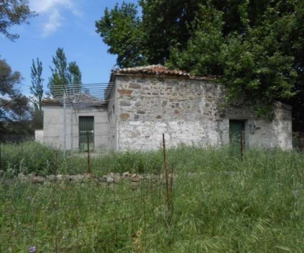 Kampos Eressos, Lesvos Island 81105, ,House and Land,For Sale,1103