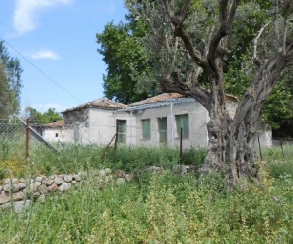 Kampos Eressos, Lesvos Island 81105, ,House and Land,For Sale,1103