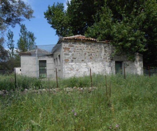 Kampos Eressos, Lesvos Island 81105, ,House and Land,For Sale,1103