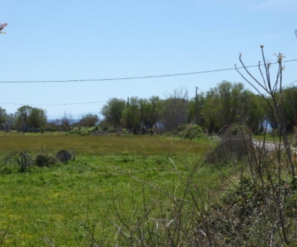 Skala Eressos, Lesvos Island 81105, ,Land Plot,For Sale,1105