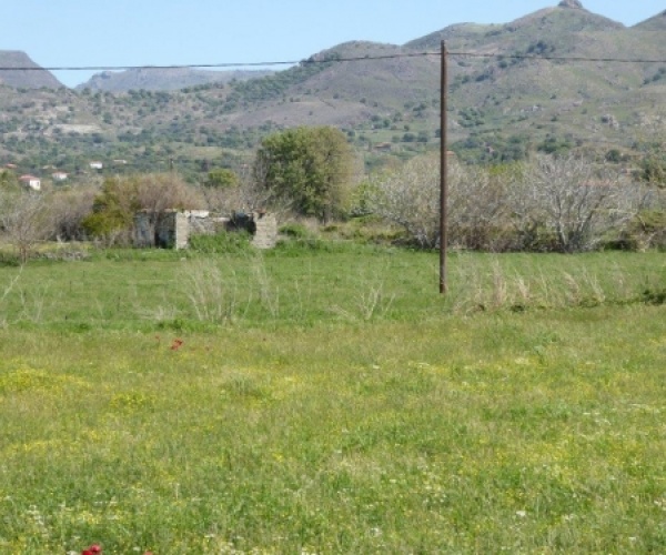 Skala Eressos, Lesvos Island 81105, ,Land Plot,For Sale,1105