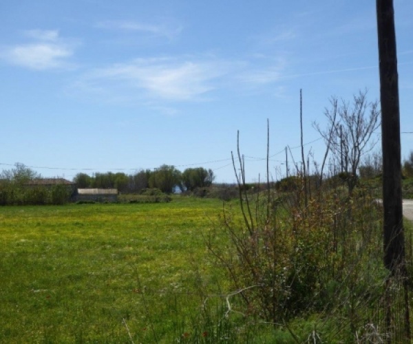 Skala Eressos, Lesvos Island 81105, ,Land Plot,For Sale,1105