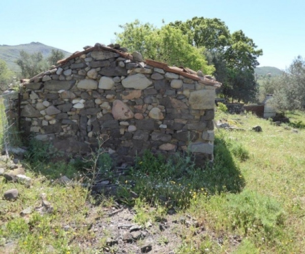 Kampos Eressos, Lesvos Island 81105, ,Land Plot,For Sale,1010