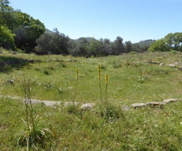 Kampos Eressos, Lesvos Island 81105, ,Land Plot,For Sale,1010