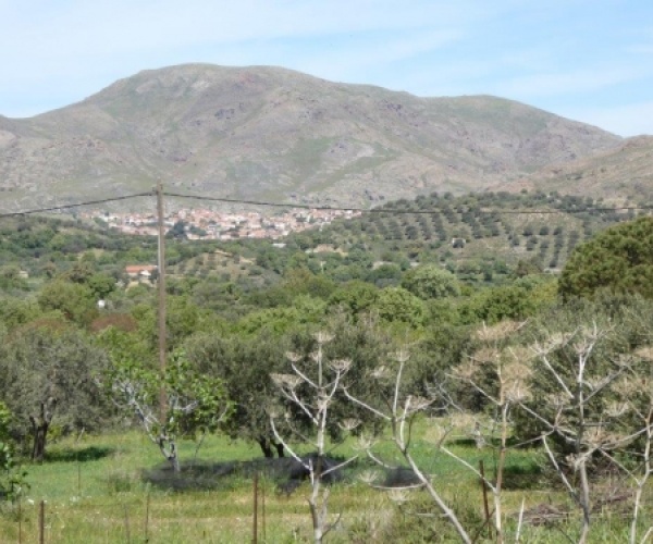 Kampos Eressos, Lesvos Island 81105, ,Land Plot,For Sale,1010