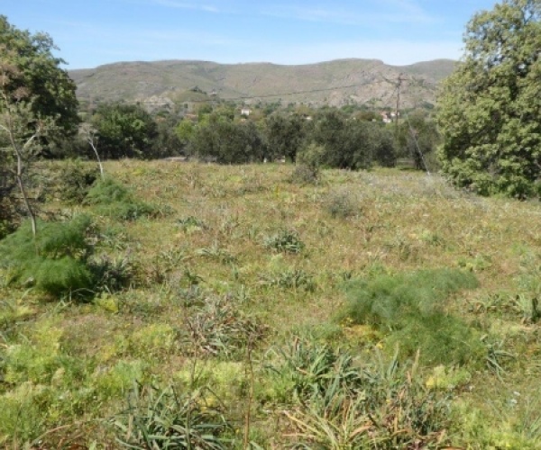 Kampos Eressos, Lesvos Island 81105, ,Land Plot,For Sale,1010