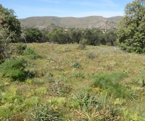 Kampos Eressos, Lesvos Island 81105, ,Land Plot,For Sale,1010