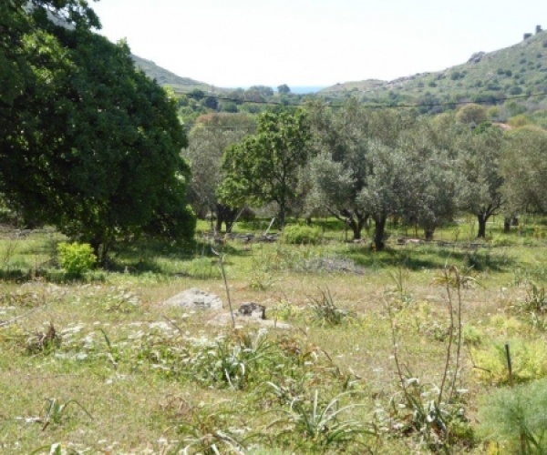 Kampos Eressos, Lesvos Island 81105, ,Land Plot,For Sale,1010