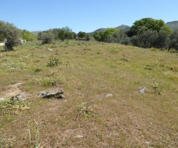 Kampos Eressos, Lesvos Island 81105, ,Land Plot,For Sale,1010