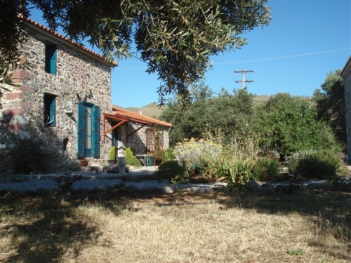 Kampos Eressos, Lesvos Island 81105, 5 Bedrooms Bedrooms, ,4 BathroomsBathrooms,House and Land,For Sale,1117