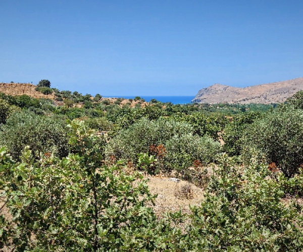 Kampos Eressos, Lesvos Island 81105, ,Land Plot,For Sale,1127