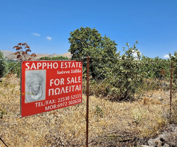 Kampos Eressos, Lesvos Island 81105, ,Land Plot,For Sale,1127