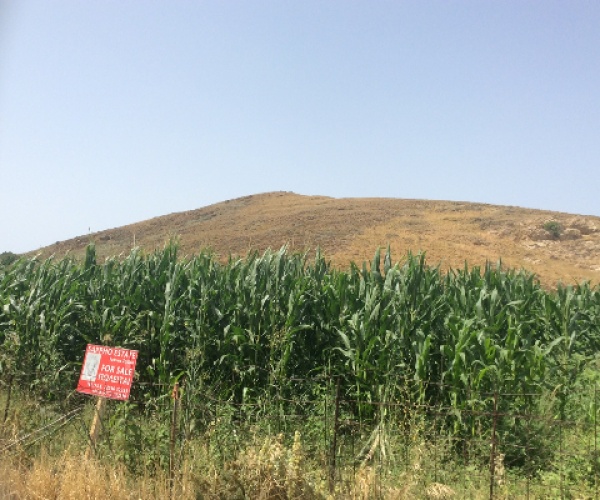 Sigri, Lesvos Island 81103, ,Land Plot,For Sale,1131