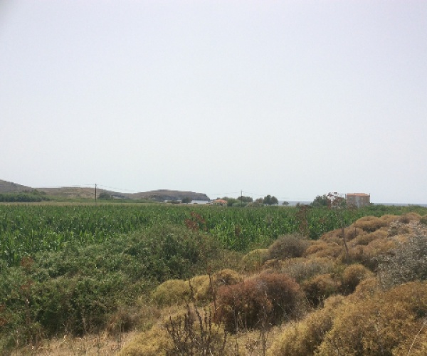 Sigri, Lesvos Island 81103, ,Land Plot,For Sale,1131