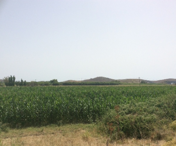 Sigri, Lesvos Island 81103, ,Land Plot,For Sale,1131