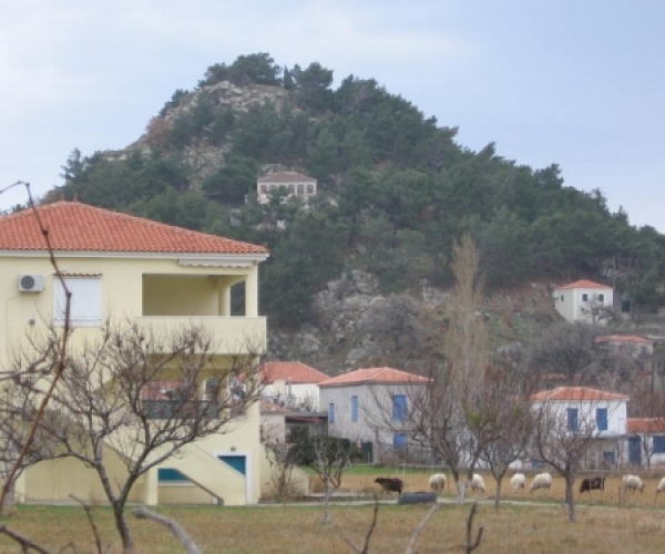 Skala Eressos, Lesvos Island 81105, 2 Bedrooms Bedrooms, ,1 BathroomBathrooms,House,For Sale,1013