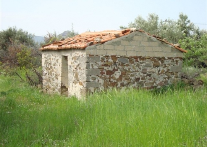 Kampos Eressos, Lesvos Island 81105, ,House and Land,For Sale,1138
