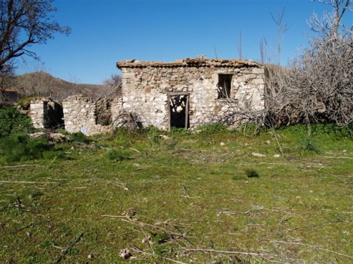 Kampos Eressos, Lesvos Island 81105, ,House and Land,For Sale,1142