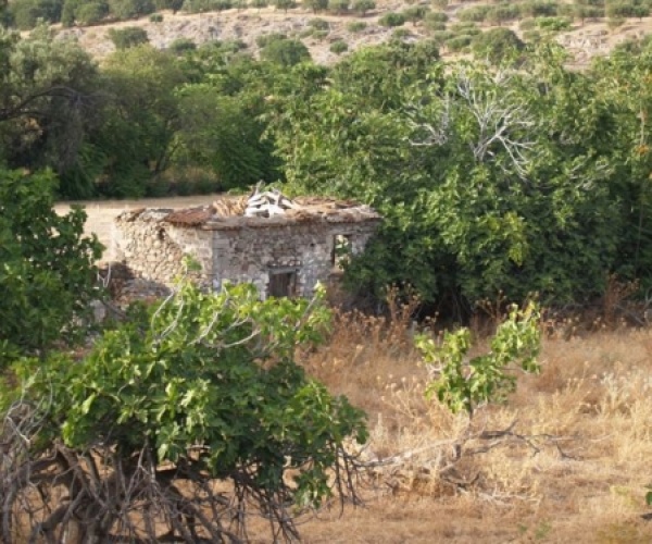 Kampos Eressos, Lesvos Island 81105, ,House and Land,For Sale,1142