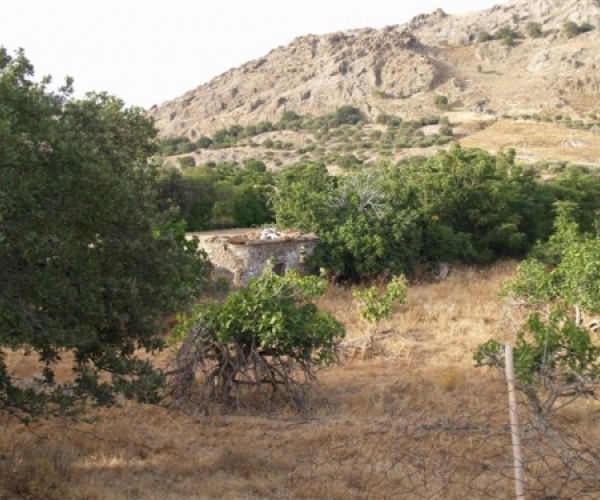 Kampos Eressos, Lesvos Island 81105, ,House and Land,For Sale,1142