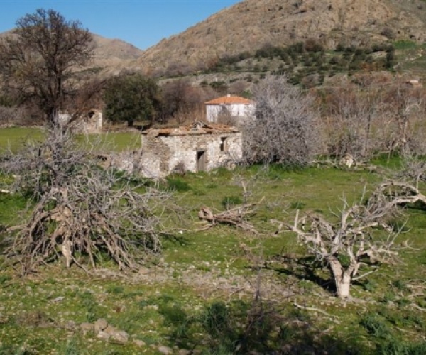 Kampos Eressos, Lesvos Island 81105, ,House and Land,For Sale,1142